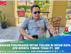 Dugaan Perambahan Hutan Terjadi Didepan Mata. APH Diminta Tindak Tegas PT. SBP