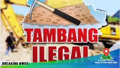 Dugaan Perambahan Hutan PT BSJ Kembali Terhendus, Ampuh Sultra Desak APH Turun Tangan