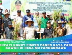 Bupati Konut Pimpin Panen Raya Padi Sawah di Desa Matanggonawe