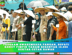 Program Swasembada Pangan, Bupati Konut Pimpin Tanam Serentak 10.000 Hektar Cetak Sawah