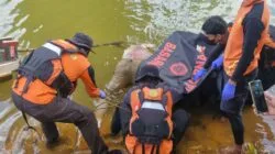 Mayat Tanpa Identitas Ditemukan Mengapung di Sungai Lalindu, Konawe Utara